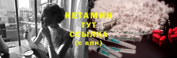хмурый Аркадак