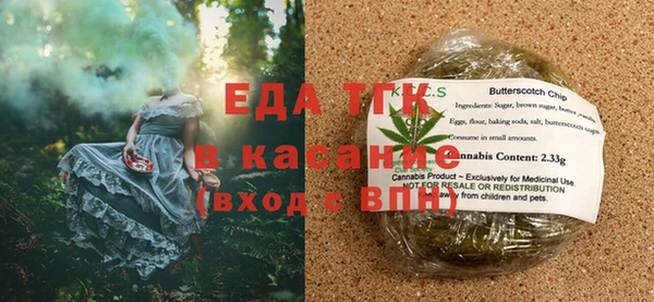 хмурый Аркадак