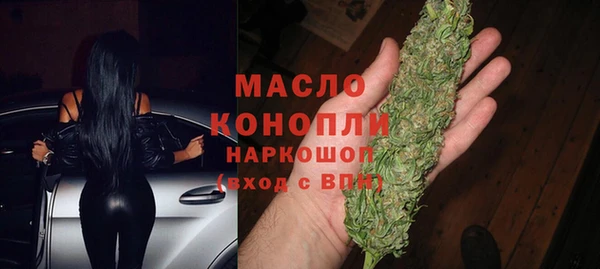 хмурый Аркадак