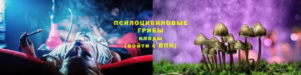 соль ск Армянск