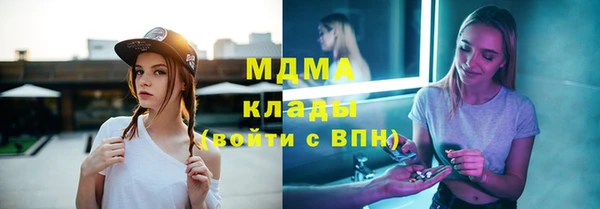 хмурый Аркадак