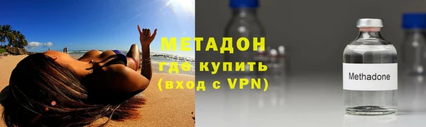 хмурый Аркадак