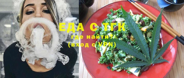 хмурый Аркадак