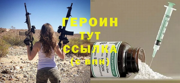 хмурый Аркадак