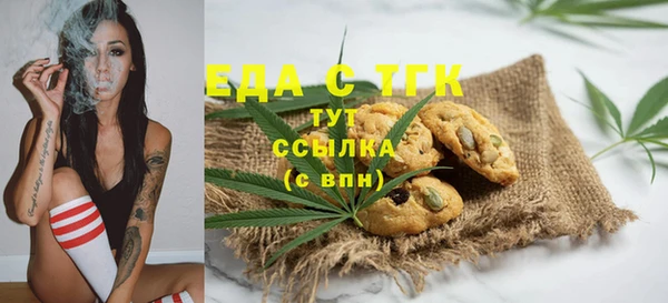хмурый Аркадак