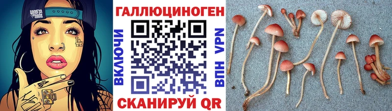 Псилоцибиновые грибы мухоморы  купить наркотик  Саки 