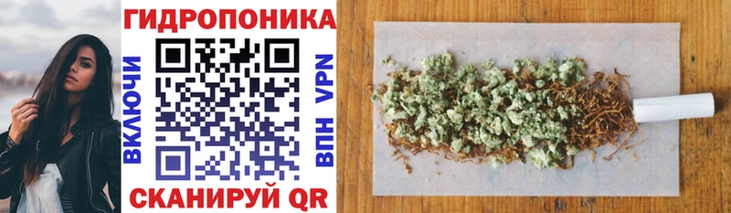 Конопля OG Kush  Саки 